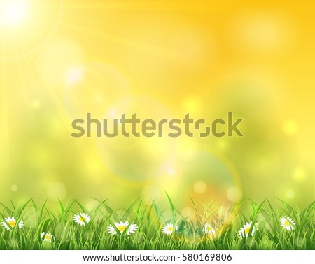 Spring or summer background, sunny day with flowers and grass, illustration.