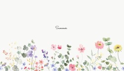 Spring And Summer Background Watercolor Arrangements With Small Flower. Botanical Illustration Minimal Style.