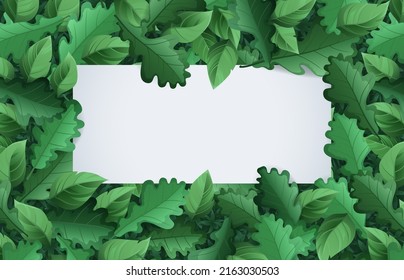 Spring summer banner with green foliage. Vector cartoon poster with blank white copy scape and frame of green leaves. Template of greeting card, season sale flyer