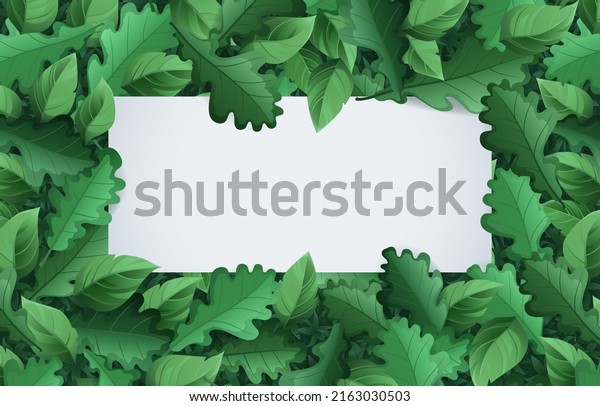 Spring summer banner with green\
foliage. Vector cartoon poster with blank white copy scape and\
frame of green leaves. Template of greeting card, season sale\
flyer