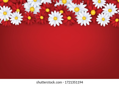 Spring or summer banner template. White and red realistic daisy flowers. Floral design wallpaper. Vector illustration.