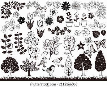 Spring And Summer Botanical Element Set Isolated On A White Background, Vector Black And White Illustration.