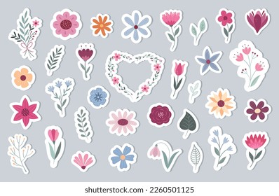 Spring and summer botanical set with flowers, plants and leaves