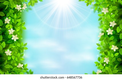 Spring and summer branches with fresh green leaves. Season background framed by white floral elements on the shining blue sky. Eco environment banner.