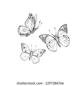 Spring, summer butterfly art. For tattoo, coloring book, t-shirt print, wadding invitation, mother's day card. Line sketch, floral illustration. Hand drawn vector silhouette graphic isolated on white