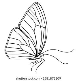 Spring and summer butterfly logo design in vector illustration style with clean lines and detailed wings