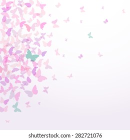 spring summer card design Colorful pink butterflies set on white background. Vector