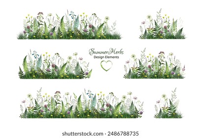 Frühling oder Sommer buntes Blumenset mit Wildfarn, Kräutern, Blumen. Teile des Feldes. Wilde Blumen. Vektorgrafik farbenfrohe Illustration.