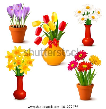Spring and summer colorful flowers in vases. Vector illustration.