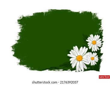 Spring or summer floral background with chamomile. White flowers on a green background. Dialog box for text with a corner drawing. Smear of green paint. Vector