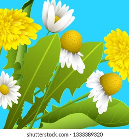 Spring or summer floral background. Vector illustration.