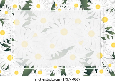Spring and summer floral banner template of white daisy flowers and leaves with white frame and your copy space. Vector illustration.