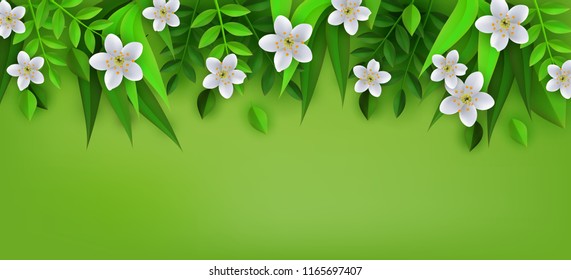Spring or summer floral border with white apple or cherry flowers and fresh leaves on green background - decorative frame with blooms and foliage in vector illustration.