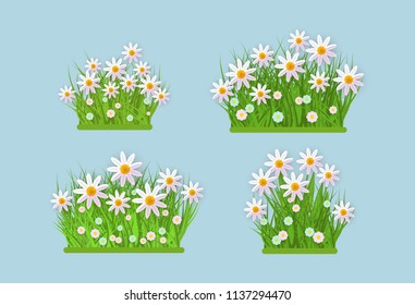 Spring and summer floral bundles of different widths set with fresh white chamomiles on green grass. Beautiful seasonal flowers on greenery in isolated vector illustration.