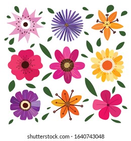 Spring and summer floral collection