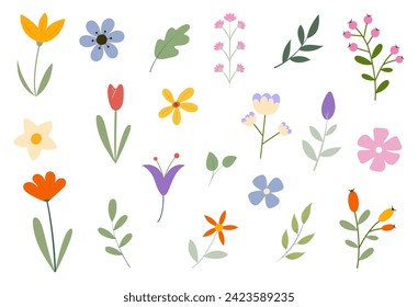 Spring and summer floral collection. Simple and colorful hand drawn flowers, leaves and branches. Vector illustration.