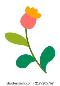 Spring or summer flower in blossom, isolated blooming flora decoration with stem and foliage. Floral design, bouquet or wildflower blooming. Florist shop simple composition. Vector in flat style