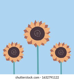 Spring Summer Flower Card Illustration