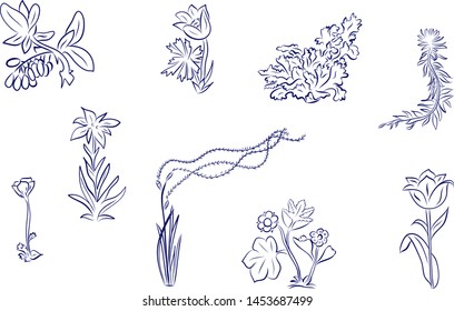 Spring and summer flower collection in doodle style. Hand drawn floral set vector illustration