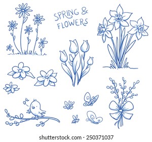 Spring and summer flower collection, with tulips, narcissus, singing bird on a pussy willow branch, butterflies and bee. Hand drawn vector illustration.