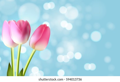 Spring and Summer Flower Natural Background. Vector Illustration EPS10