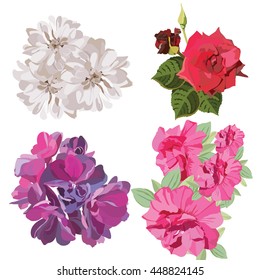 Spring Summer Flower Set Vector