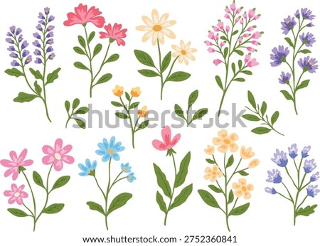 Spring and summer flower vector set in colorful hand-drawn doodle style. Wildflowers, leaves, and branches. Floral elements for prints, stickers, cards, patterns, packaging, and decoration