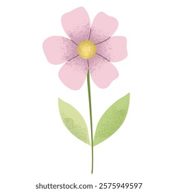 Spring summer flower in watercolor style. Delicate hand drawn pink daisy. 