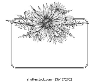 Spring and summer flowers. Botanical vector illustration.
