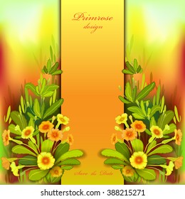 Spring summer flowers. Floral background. Vertical border frame with yellow primroses and green leaves. Forest or meadow sketch. Sunny watercolor wedding background. Save date text Vector illustration