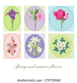 Spring and summer flowers in frame