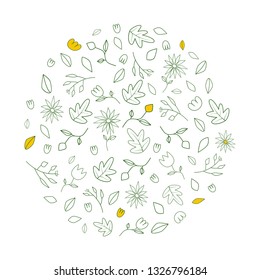 Spring summer flowers illustrations in a circle 