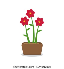 Spring and summer flowers in pot, planting with container, growing flowers for floral arrangement. (Environmental, garden, park, outdoor, natural, refreshing)