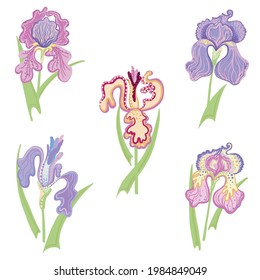 Spring and summer flowers. Set of cartoon magic irises. Royal irises are purple, lilac and yellow. Vector illustration isolated on white background.