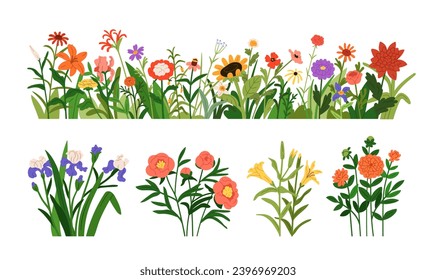 Spring and summer flowers set. Floral border, field and meadow plant, simple blossomed blooms, wildflowers. Natural botanical decoration. Colored flat vector illustrations isolated on white background