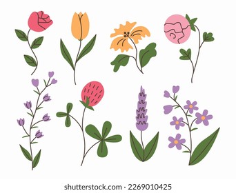 Spring and summer flowers set. Simple doodle flower plants isolated on white background.