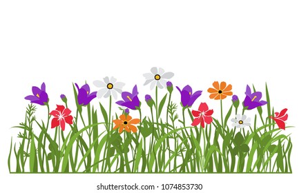 Spring and summer forest and garden flowers isolated on white Vector illustration of the nature of the flower and grass in spring and summer in the garden, bell, daisy, lily,
chamomile