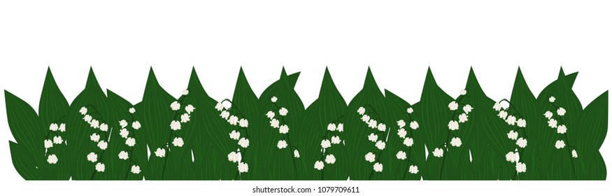 Spring and summer forest and garden flowers isolated on white Vector illustration of the nature of the flower and grass in spring and summer in the garden, Lily of the valley 