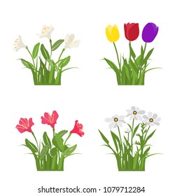 Spring and summer forest and garden flowers isolated on white Vector illustration of the nature of the flower and grass in spring and summer in the garden, bell, daisy, tulip