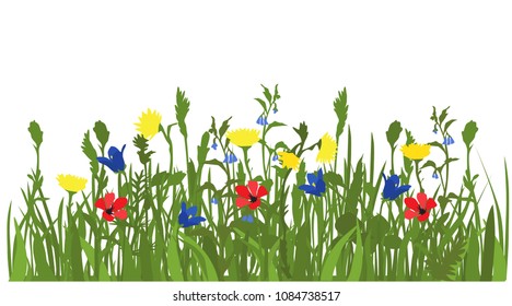 Spring and summer forest and garden wild flowers isolated on white Vector illustration of the nature of the flower and grass in spring and summer in the garden, dandelion, lily, bell