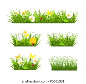 Spring and summer grass set, vector