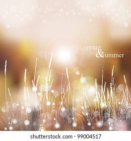 Spring and summer grass watercolor background with bokeh vector