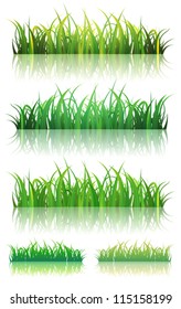 Conjunto de césped verde de primavera o verano/Ilustración de un conjunto de hojas finas y fondo de pasto verde brillante con reflexión en el suelo, para la temporada de verano o primavera