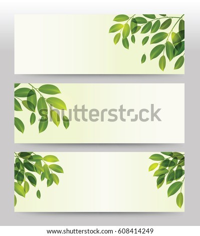 Spring Summer green plants and leaves banner set for Spa. Illustration vector.