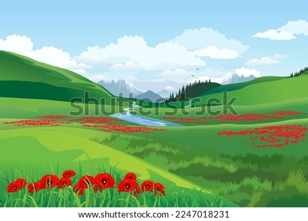 Image, Stock Photo Poppy field in spring. panoramas of flowering spring poppies among the wheat field in the background.