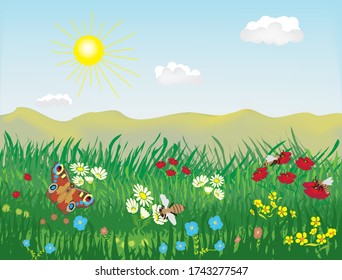 Spring and summer lanscape with meadow, grass, flowers, bees, butterfly, hills, sky, sun, clouds