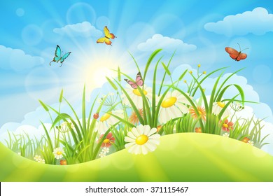 Spring summer meadow background with grass, flowers, sun and butterflies