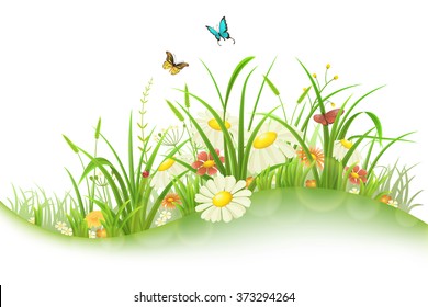 Spring summer meadow with green grass, flowers and butterflies