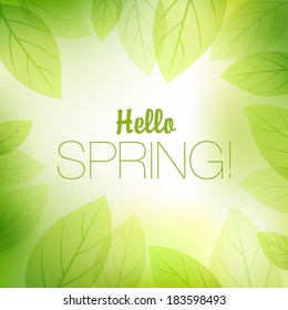 Spring or summer nature background with fresh green leaves.  Vector illustration