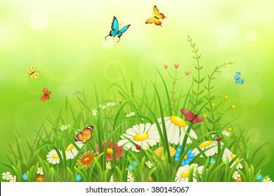 Spring or summer nature background with green grass, flowers and butterflies